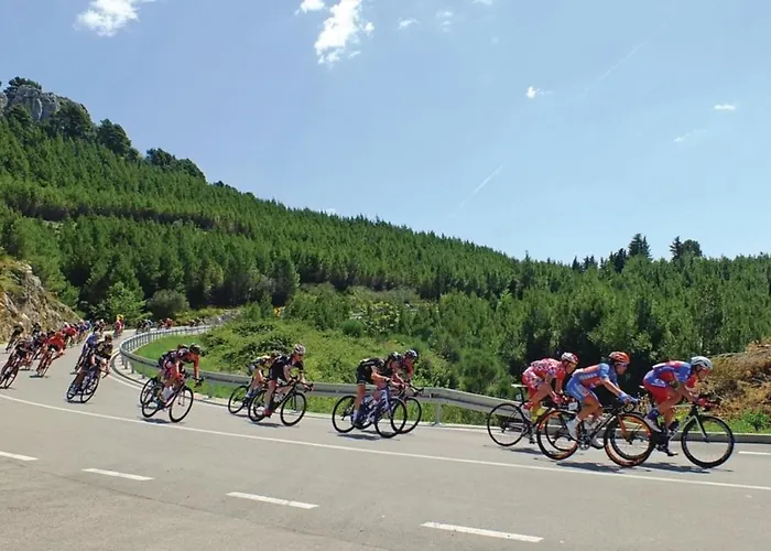 Ruza Макарска